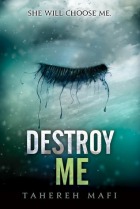 Destroy Me_bookcover
