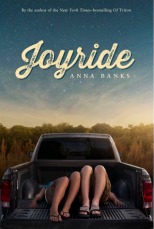 Joyride_bookcover